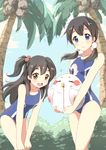  :d bird black_hair blood blue_eyes brown_eyes dera_mochimazzui hair_bobbles hair_ornament kitashirakawa_anko kitashirakawa_tamako long_hair low_twintails multiple_girls mushiboy nosebleed one-piece_swimsuit one_side_up open_mouth palm_tree school_swimsuit siblings sisters smile swimsuit tamako_market tree twintails 