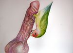  avian balls bird blood disembodied_penis feral human male penis tagme unknown_artist vein watercolor 