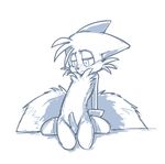  canine cub erection fox greyscale idrawgayboys male mammal miles_prower monochrome penis sega solo sonic_(series) young 