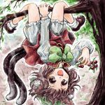  animal_ears bloomers brown_eyes brown_hair cat_ears cat_tail chen cherry food fruit in_tree looking_at_viewer multiple_tails nanashii_(soregasisan) open_mouth short_hair solo tail touhou tree underwear upside-down 