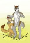  canine cougar daitenshi duo feline fundoshi genchi male mammal nipples nude simple_background underwear wolf 