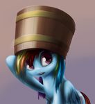  bucket cutie_mark equine female feral friendship_is_magic hair horse looking_at_viewer mammal multi-colored_hair my_little_pony navel pegasus pony purple_eyes rainbow_dash_(mlp) rainbow_hair sokolas solo wings 