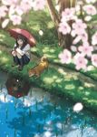  amemura_(caramelo) blurry brown_eyes brown_hair cherry_blossoms depth_of_field dog grass light_smile mole original path petals reflection rice_paddy road school_uniform serafuku short_hair smile solo squatting tree umbrella water 