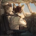  aircraft airplane canine cockpit fighterjet flying fox hyena lux lux_(character) male mammal pilot pilots sitting sky uniform 