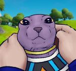 2022 beerus bingus biped black_eyes crossover digital_drawing_(artwork) digital_media_(artwork) domestic_cat dragon_ball dragon_ball_super duo english_description epic_games felid feline felis feral feralized first_person_view fortnite goku hairless hairless_cat human looking_at_viewer male mammal meme outside petting purple_body purple_skin quadruped redraw screencap screencap_background slashrabbit snout solo_focus sphynx_(cat) tan_body tan_skin yellow_sclera