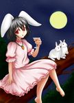  :o animal_ears bad_id bad_pixiv_id barefoot black_hair branch bunny bunny_ears carrot cocktail_glass cup dress drinking_glass erodiumu_kurisantsumu full_moon inaba_tewi jewelry looking_at_viewer moon pendant puffy_short_sleeves puffy_sleeves red_eyes short_hair short_sleeves sitting sky solo star_(sky) starry_sky touhou 