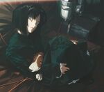  1girl aizheajsee animal_on_lap basset_hound black_hair black_shoes blue_eyes bob_cut buttons cable chinese_commentary closed_mouth commentary_request couch curtained_hair dog dress expressionless film_grain frilled_sleeves frills from_above full_body gabriel_(gits) ghost_in_the_shell ghost_in_the_shell:_innocence green_dress hands_on_own_legs head_tilt highres indoors inverted_bob kusanagi_motoko legs_folded light_frown light_leak long_dress looking_at_viewer middle_part on_couch on_lap parted_bangs petticoat shoes short_hair sidelighting sitting sleeves_past_wrists solo wide-eyed 