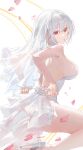  1girl absurdres ass azur_lane backless_leotard bare_shoulders breasts bridal_veil grey_hair hair_between_eyes high_heels highres large_breasts leotard looking_at_viewer medium_hair mouth_hold official_alternate_costume petals pink_petals red_eyes shin_oooooo sirius_(alba_sirius)_(azur_lane) sirius_(azur_lane) strapless strapless_leotard veil white_leotard 