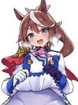  1girl :d animal_ears ascot asymmetrical_gloves blue_eyes blue_gloves blush bow breasts brown_hair buttons cape clothes_lift commentary cowboy_shot double-breasted epaulettes from_below gloves gold_buttons hair_between_eyes heavy_breathing high_ponytail highres horse_ears horse_girl jacket lifting_own_clothes long_hair long_sleeves looking_at_viewer mismatched_gloves motyomotyo_rsg4 multicolored_hair multicolored_jacket pantyhose pink_ascot pink_bow ponytail red_cape simple_background single_epaulette single_hair_streak skirt skirt_lift small_breasts smile solo streaked_hair sweat sweatdrop teeth tokai_teio_(peak_joy)_(umamusume) tokai_teio_(umamusume) tongue two-tone_jacket two-tone_skirt umamusume untranslatable_commentary upper_teeth_only white_background white_gloves white_jacket white_pantyhose white_skirt white_streaks 