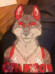  anthro badge badgecommissionspiderwusky canine crazywolfgirl dog looking_at_viewer mammal real solo spiderweb 