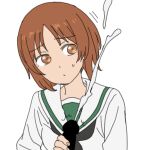  1boy 1girl black_neckerchief brown_eyes brown_hair censored closed_mouth commentary cum dot_mouth dot_nose ejaculation facing_viewer girls_und_panzer handjob highres holding long_sleeves medium_hair neckerchief nishizumi_miho onsen_tamago_(hs_egg) ooarai_school_uniform parted_bangs school_uniform serafuku shirt short_hair simple_background sketch solo_focus sweatdrop upper_body white_background white_shirt 