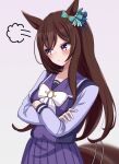  1girl animal_ears blush bow bowtie breasts brown_hair closed_mouth commentary_request crossed_arms ear_bow hair_between_eyes hair_ornament hairclip highres horse_ears horse_girl horse_tail horseshoe_ornament large_bow long_hair long_sleeves medium_breasts mejiro_dober_(umamusume) pleated_skirt puff_of_air purple_eyes purple_sailor_collar purple_serafuku purple_shirt purple_skirt sailor_collar sailor_shirt school_uniform serafuku shirt skirt solo tail tofu_thunder tracen_school_uniform umamusume white_bow white_bowtie winter_uniform 