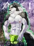  anthro biceps big_muscles black_fur black_nose boxers bulge canine claws fur grey_eyes grey_fur male mammal muscles nipples paws pecs plain_background pose purple_eyes scar shootingstar solo standing topless underwear undressing vein white_fur wolf 