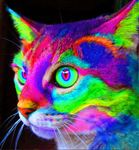  animated black_background blue_eyes blue_fur blue_nose cat colorful epilepsy_warning feline fur green_eyes green_fur green_nose looking_away mammal orange_eyes orange_fur orange_nose pink_eyes pink_fur pink_nose plain_background portrait psychedelic purple_eyes purple_fur purple_nose rainbow rainbow_eyes rainbow_fur rainbow_pussy real red_eyes red_fur red_nose solo unknown_artist yellow_eyes yellow_fur yellow_nose 