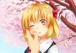  blonde_hair cherry_blossoms hand_on_another's_cheek hand_on_another's_face one_eye_closed petals red_eyes rumia shirane_koitsu touhou 