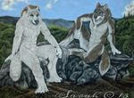  anthro avian bird blue_eyes canine claws duo fur grey_fur hair male mammal muscles nirvelli-v outside paws plain_background scenic_view sitting white_fur wolf 
