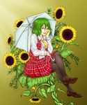  ascot crossed_legs enmatime flower green_hair hand_on_own_face kazami_yuuka pantyhose parasol plaid plaid_skirt plaid_vest red_eyes shoe_dangle shoes short_hair sitting skirt skirt_set solo sunflower touhou umbrella vest 