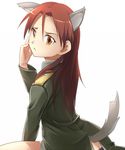  animal_ears kazuki_sanbi long_hair minna-dietlinde_wilcke solo strike_witches tail wolf_ears wolf_tail world_witches_series 