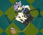  animal_ears bad_id bad_pixiv_id basket mouse mouse_ears mouse_tail nazrin solo tail touhou 