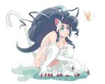  animal_ears big_hair blue_eyes blue_hair bug butterfly cat_ears cat_tail felicia insect kintaro long_hair solo tail thighhighs vampire_(game) 
