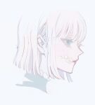  1girl 7wata_himori blue_eyes closed_mouth expressionless fate/prototype fate/prototype:_fragments_of_blue_and_silver fate_(series) flower highres pink_lips profile sajou_manaka short_hair simple_background solo white_background white_hair 