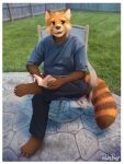 3:4 ailurid anthro barefoot blue_clothing blue_shirt blue_t-shirt blue_topwear book bottomwear brown_body brown_fur clothed clothing feet fence front_view fur grass grey_bottomwear grey_clothing grey_pants head_tuft hi_res holding_book holding_object looking_at_viewer male mammal open_mouth open_smile orange_body orange_eyes orange_fur outside pache_riggs pants plant red_panda shirt signature sitting smile solo t-shirt tan_body tan_fur topwear tuft whiskers