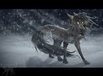  blizzard brown_eyes canine dark dark_fur female fur grey_fur kocurzyca mammal night snow solo winter wolf 