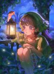  1girl ahoge arm_up artist_name baluster black_hair castle cloud cloudy_sky commentary dot_nose dress fairy_wings frilled_dress frills from_side grass green_dress hands_up highres holding holding_lantern house knees lantern leaf long_hair looking_at_another making-of_available night open_mouth original purple_eyes pyampom short_sleeves sitting sky socks stone_pillar teeth untranslatable_commentary upper_teeth_only white_socks wings 