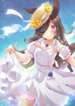 1girl animal_ears blue_sky blush breasts brown_hair closed_mouth cloud collarbone commentary_request dress flipped_hair flower hair_over_one_eye hat hat_flower highres holding_own_dress horse_ears horse_girl jewelry long_hair looking_at_viewer necklace outdoors purple_eyes rice_shower_(umamusume) sky small_breasts smile solo tilted_headwear umamusume water white_dress yukiomi_kizuki 