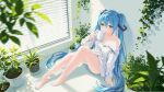  1girl absurdres aqua_eyes aqua_hair aqua_nails ass bare_legs barefoot buttons chinese_commentary commentary cup feet fingernails full_body hair_between_eyes hair_intakes hair_ornament hatsune_miku highres holding holding_cup indoors kloan light_blush long_hair looking_at_viewer mug nail_polish plant plant_request potted_plant shirt single_off_shoulder sitting solo toenail_polish toenails toes twintails very_long_hair vocaloid white_shirt window window_blinds 