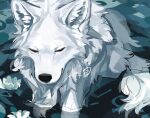  animal_focus closed_eyes closed_mouth commentary flower no_humans original rinrinwolf signature water wolf 