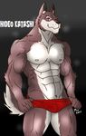  abs anthro biceps big_muscles black_nose brown_eyes brown_fur bulge canine dog fur grin hentist hideo_katashi looking_at_viewer male mammal muscles nipples pecs pose smile solo standing topless underwear vein white_fur wolf 
