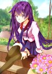  2mota bakemonogatari flower long_hair monogatari_(series) purple_eyes purple_hair school_uniform senjougahara_hitagi sitting thighhighs 