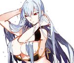 bare_shoulders bikini breasts large_breasts long_hair red_eyes selvaria_bles senjou_no_valkyria silver_hair solo starshadowmagician swimsuit very_long_hair wet 