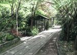  bad_pixiv_id kyoto nature no_humans nori_tamago original photo-referenced plant scenery sunlight torii tree 