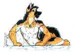  anthro canine dog jessica_willard male mammal pinup pose solo traditional_media 