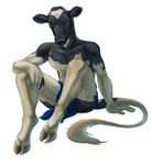  2013 arm_support black_fur black_nose bovine cattle detailed fur hand_on_knee hooves loincloth looking_at_viewer male mammal maquenda mouth_hold multicolor_fur nipples plain_background sitting solo tail_tuft topless tuft two_tone_fur white_background white_fur 