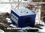  console english_text game_cube humor inanimate nintendo observe outside plant snow text tree unknown_artist video_games wood 
