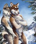  balls bloodshot23 canine dog duo gay husky male mammal mountain nude outside panting sheath snow tongue tree 