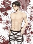  black_hair levi_(shingeki_no_kyojin) male_focus shingeki_no_kyojin shirtless solo thigh_strap toki-nagumo 