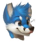  ambiguous_gender anthro big_eyes black_nose blue_fur blue_hair canine cute detailed drunk fur hair licking licking_lips mammal multicolor_fur notched_ear portrait shiny silverfox5213 smile solo tongue tongue_out two_tone_fur 