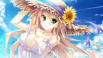  animal bird blonde_hair game_cg guardian☆place hat hibarigaoka_itsuki hinata_mutsuki long_hair sky skyfish summer_dress sunflower 