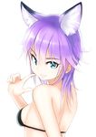  animal_ears bad_id bad_pixiv_id bikini bikini_top black_bikini blue_eyes breasts finger_to_cheek long_hair looking_at_viewer medium_breasts nosuku original purple_hair sideboob simple_background smile solo swimsuit upper_body white_background 