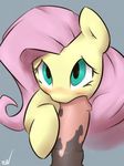  animal_genitalia blush disembodied_penis duo equine fellatio female feral fluttershy_(mlp) friendship_is_magic fur green_eyes hair horse horsecock male mammal my_little_pony nude oral oral_sex pegasus penis pink_hair plain_background ponchuzn pony puszn sex straight wings yellow_fur 