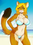  aimi beach bikini blonde_hair breasts cleavage clothed clothing cloud clouds feline female green_eyes hair looking_at_viewer mammal outside sand seaside sky solo swimsuit tight_clothing water 