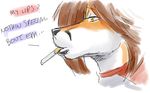  canine cox fox gideon lips male mammal smoking solo text 