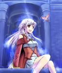  artist_request bare_shoulders bird blue_fire detached_sleeves fire fire_emblem fire_emblem:_akatsuki_no_megami hair_tubes long_hair lowres micaiah red_eyes silver_hair smile yune 