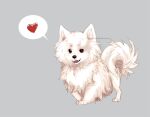  2017 ambiguous_gender azzai black_nose brown_eyes canid canine canis digital_drawing_(artwork) digital_media_(artwork) domestic_dog feet feral fluffy fur grey_background heart_symbol mammal open_mouth open_smile paws pictographics quadruped shaded simple_background smile solo speech_bubble spitz standing teeth text url watermark white_body white_fur 