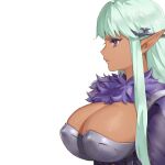  1girl armor bikini_armor breasts cleavage cropped dark-skinned_female dark_elf dark_skin elf extraction from_side fur_trim green_hair highres large_breasts long_hair negative_space ouosoul pointy_ears purple_eyes railanor_(unicorn_overlord) resized revealing_clothes simple_background solo unicorn_overlord upper_body very_long_hair white_background 