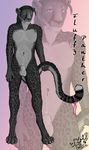  anthro balls black_fur black_hair black_panther cheetah cryme_the_cheetah feline fluffy_panther fur gradient_background green_hair hair invalid_tag jaguar long_hair looking_at_viewer male mammal nude panther presenting realistic ribbons shaded sheath smile solo spots standing 
